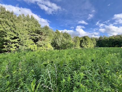 Property for sale in Chemung County, New York