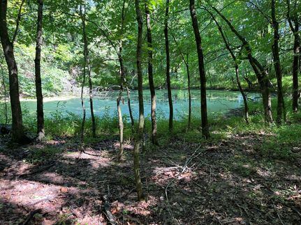 Property in Henderson County, Kentucky