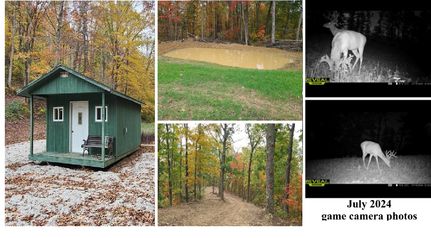 Property in Lewis County, Kentucky