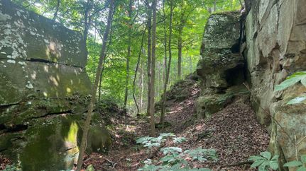 Property in Athens County, Ohio