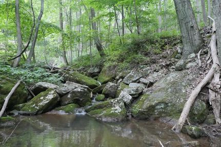 Property in Giles County, Virginia