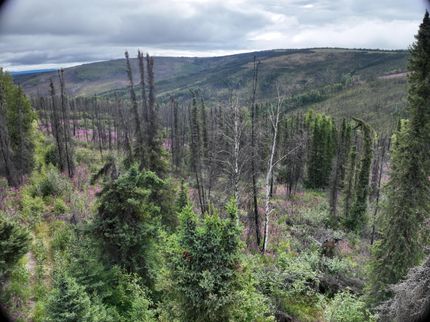 Property in Fairbanks North Star Borough, Alaska