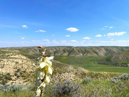 Property in Chouteau County, Montana