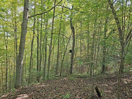 Property in Gilmer County, West Virginia