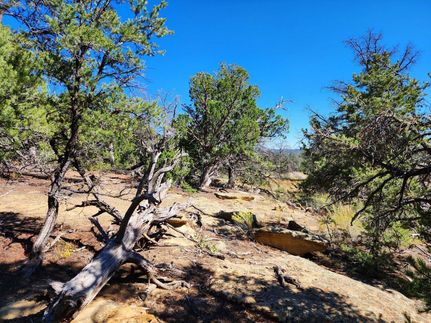 Property for sale in Cibola County, New Mexico