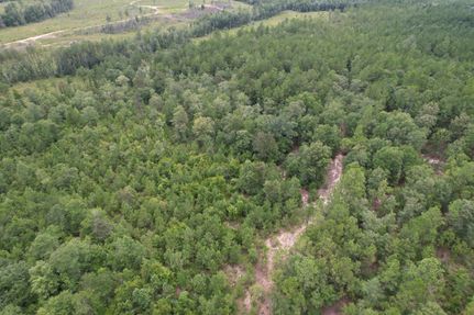 Property in Washington County, Alabama