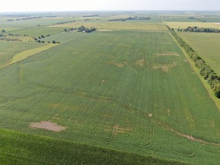 Property in Ford County, Illinois