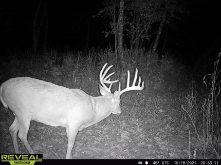 Property in Marquette County, Wisconsin