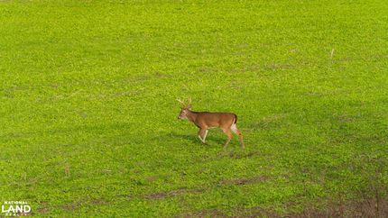 Property in Issaquena County, Mississippi