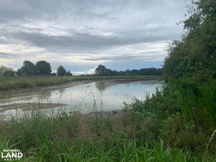 Property in Evangeline Parish, Louisiana