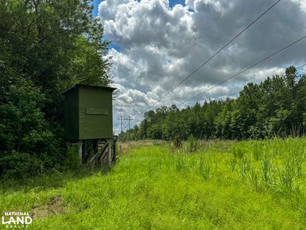 Property in Washington County, Alabama