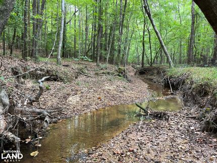 Property in Lamar County, Alabama