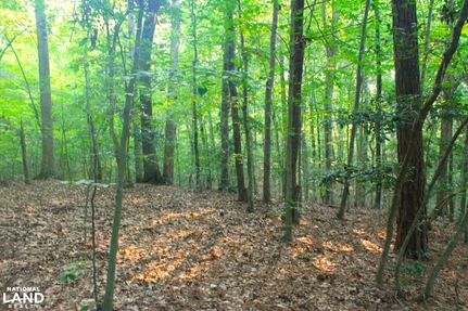 Property in Gloucester County, Virginia