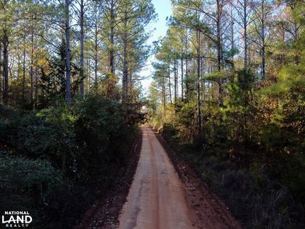 Property in Monroe County, Alabama