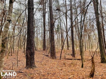 Property in Talbot County, Georgia