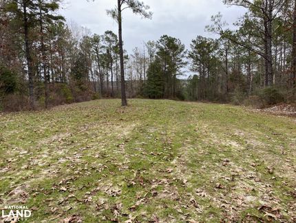Property in Choctaw County, Alabama