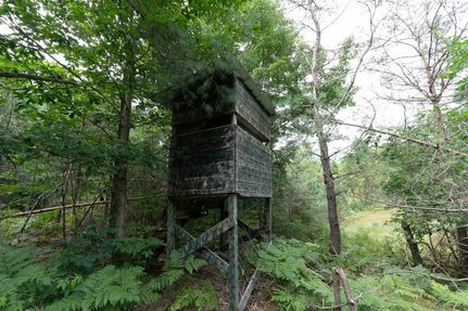 Property in Mecosta County, Michigan