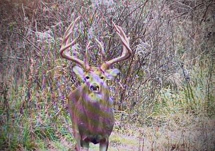 Property in Lucas County, Iowa