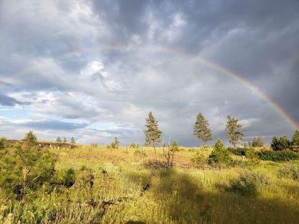 Property in Lincoln County, Washington