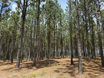 Property in Chesterfield County, South Carolina