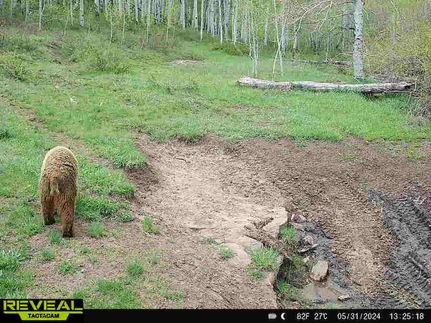 Property in Mesa County, Colorado
