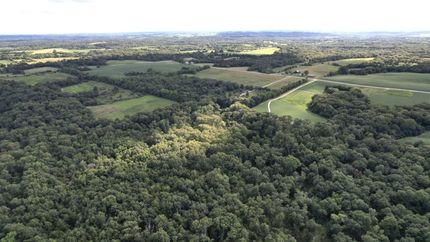 Property in Pike County, Illinois