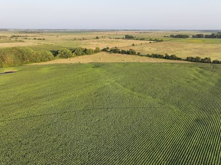 Property in Merrick County, Nebraska