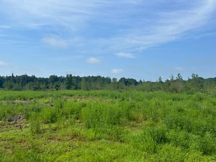 Commercial Property for sale in Schley County, Georgia