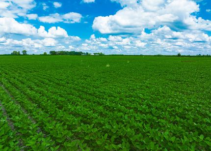 Property in Union County, Ohio