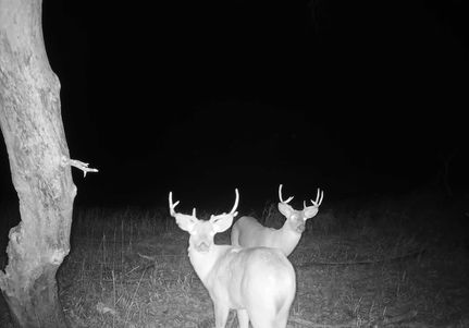 Property in Dewey County, South Dakota