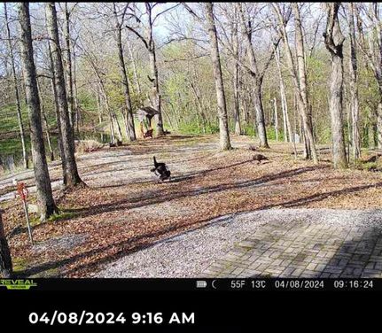 Property in Monroe County, Illinois