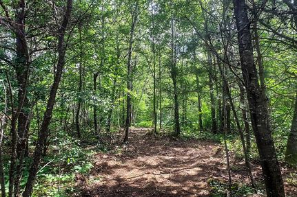 Property in Oneida County, Wisconsin