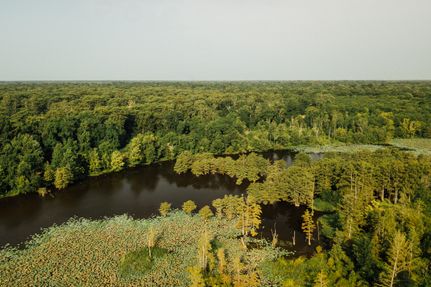 Property in Bolivar County, Mississippi