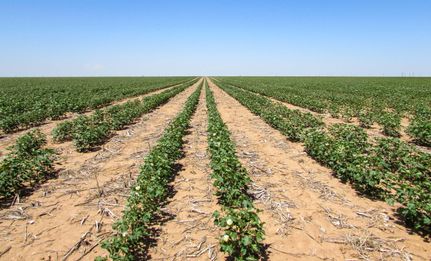 Property in Hockley County, Texas