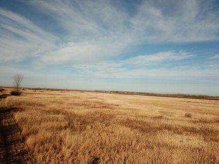Property in Pennington County, Minnesota