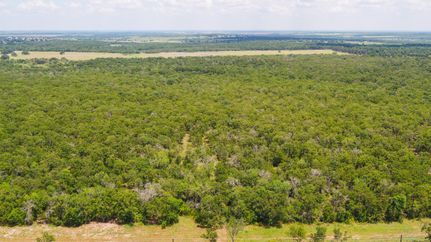 Hunting Land for sale in Milam County, Texas