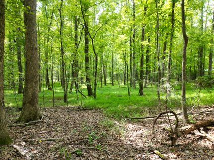 Property in Stanly County, North Carolina