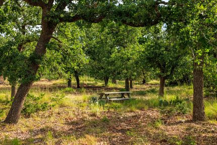 Property for sale in Gillespie County, Texas