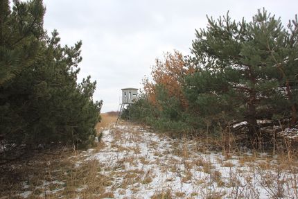 Property in Cottonwood County, Minnesota