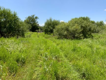 Property for sale in San Patricio County, Texas