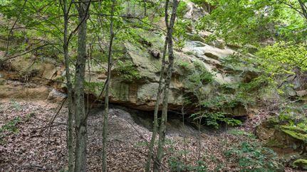 Property in Meigs County, Ohio