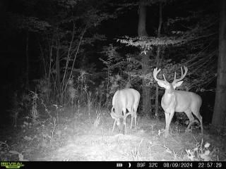 Property in Claiborne County, Mississippi