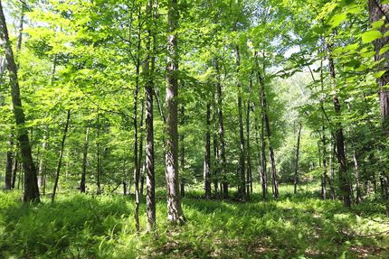 Property in Rensselaer County, New York