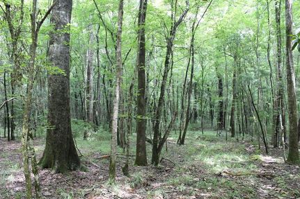 Property in Pike County, Alabama