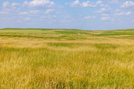 Property in Grant County, North Dakota