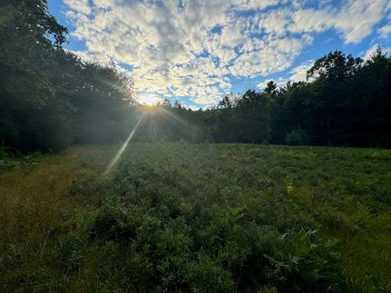 Property in Alcona County, Michigan