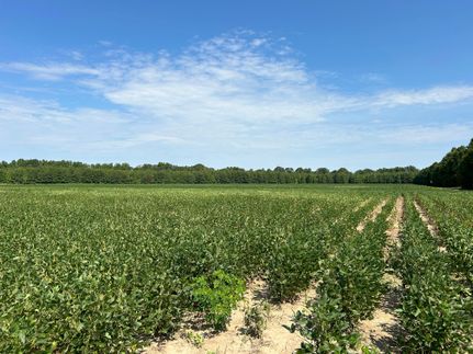 Property in Tallahatchie County, Mississippi