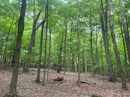 Property in Licking County, Ohio