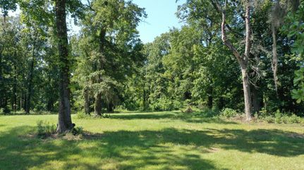 Undeveloped Land for sale in Hale County, Alabama