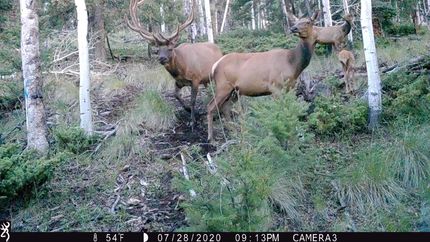 Property for sale in Rio Grande County, Colorado